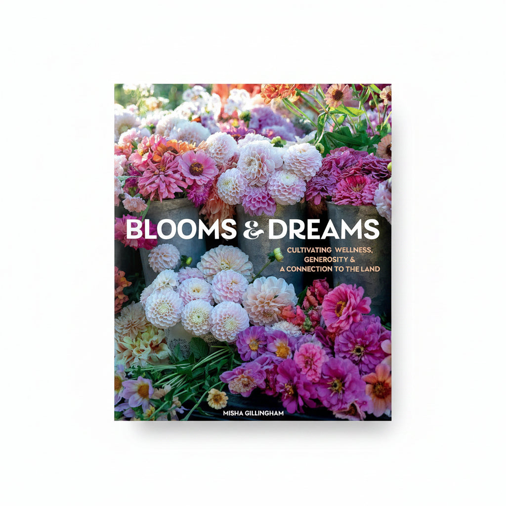 Book cover of 'Blooms & Dreams' with colorful flowers and text.