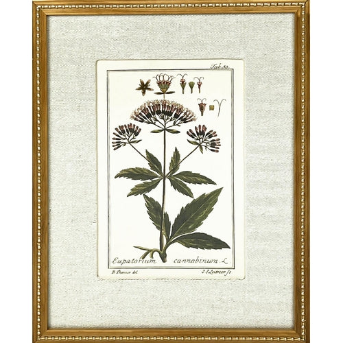 Green Floral Botanical Art