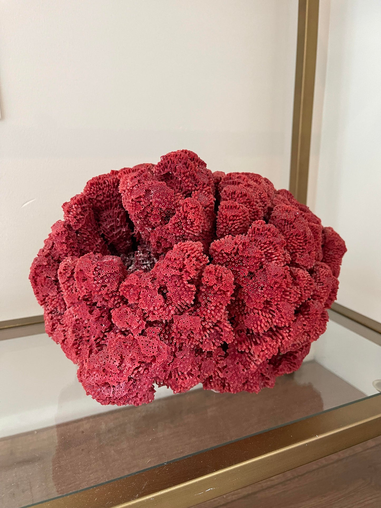 Red Coral Sculpture
