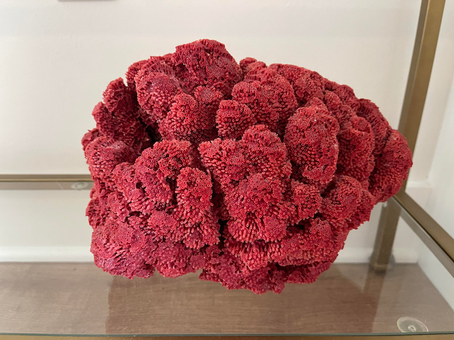 Red Coral Sculpture